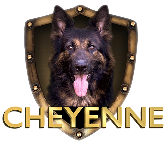 German Sheperds,AKC,purebred,Champion,Pedigree,IPO