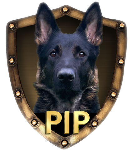 German Sheperds,AKC,purebred,Champion,Pedigree,IPO